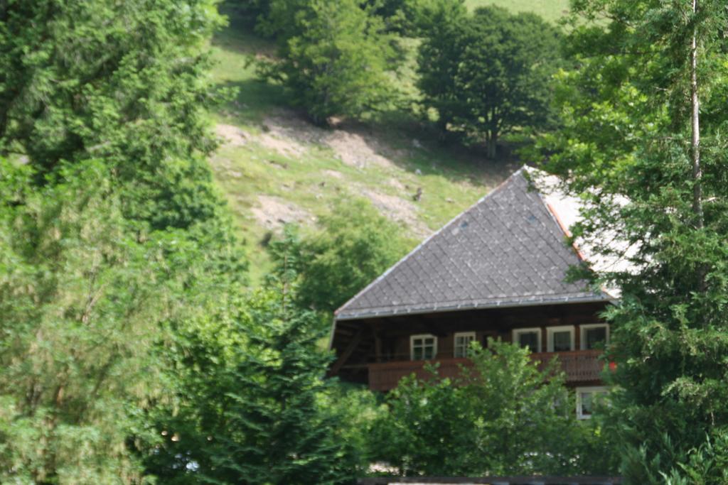 Hotel Gasthaus Hirschen Im Hochschwarzwald Todtnau Nahe Feldberg Екстериор снимка