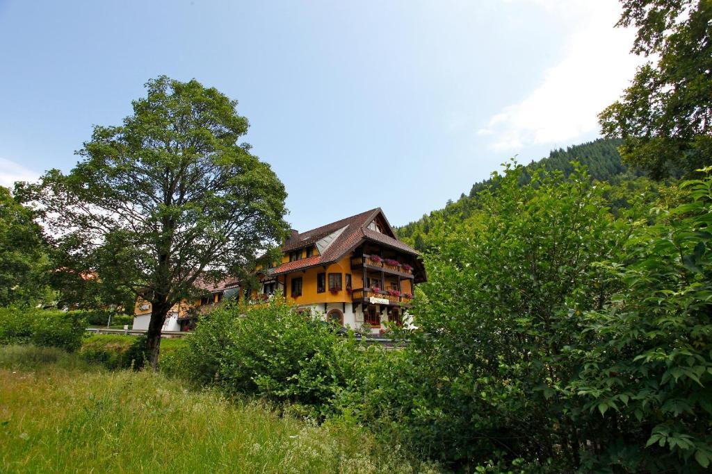 Hotel Gasthaus Hirschen Im Hochschwarzwald Todtnau Nahe Feldberg Екстериор снимка